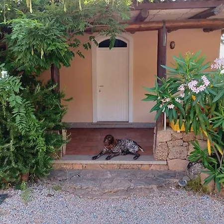 Suite Mirialveda San Pantaleo Exterior photo